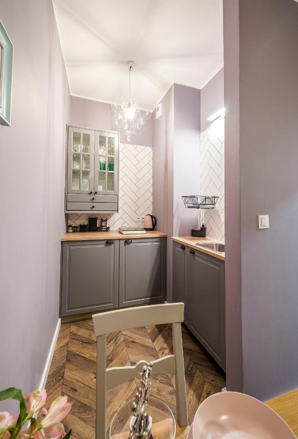 Apartament Z Ogrodkiem I Garazem Poznań Eksteriør bilde